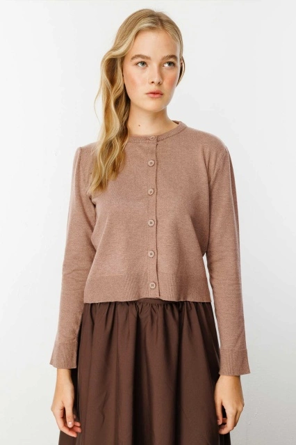 Premium Bisiklet Yaka Vizon Triko Hırka